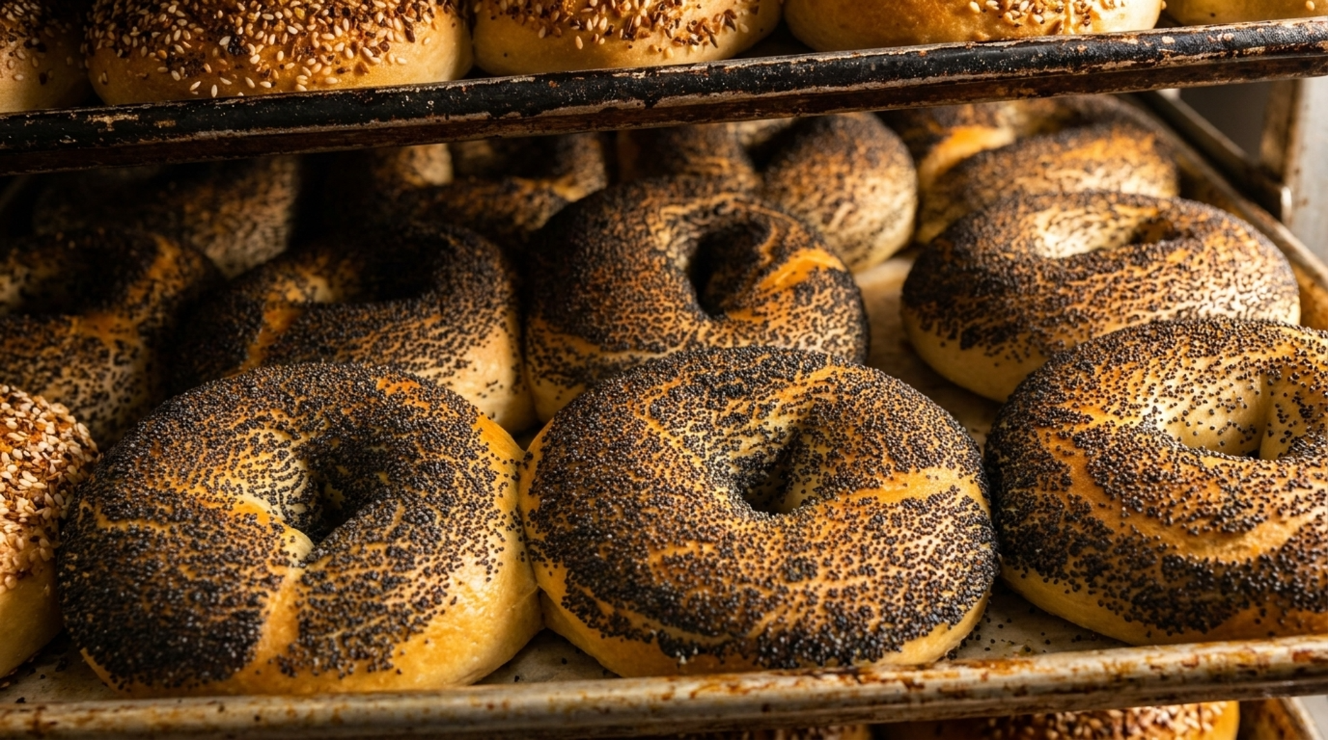Enjoy Fresh Baked Favorites Anytime